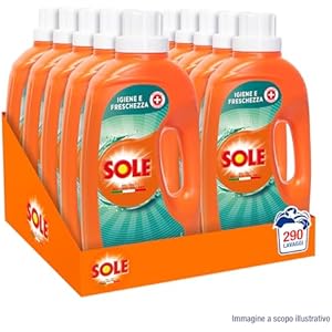 Sole Detersivo Lavatrice Igiene e Freschezza 10x29 (290) Lavaggi