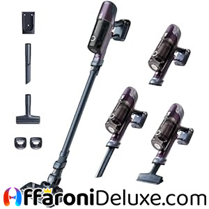 Rowenta X-PERT 6.60 Essential Aspirapolvere Senza Fili Potente