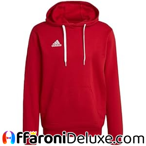 adidas Entrada 22 Felpa con Cappuccio Uomo